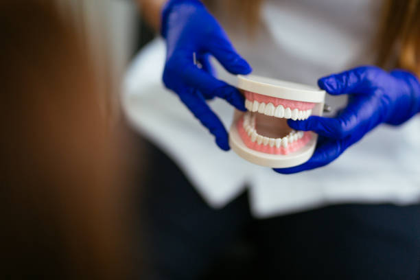 Reliable Iva, SC  Holistic Dental Services Solutions